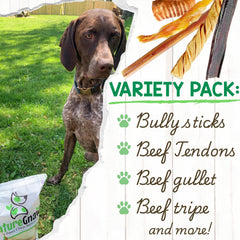 Nature Gnaws bully sticks close-up emphasizing savory beef flavor and long-lasting entertainment