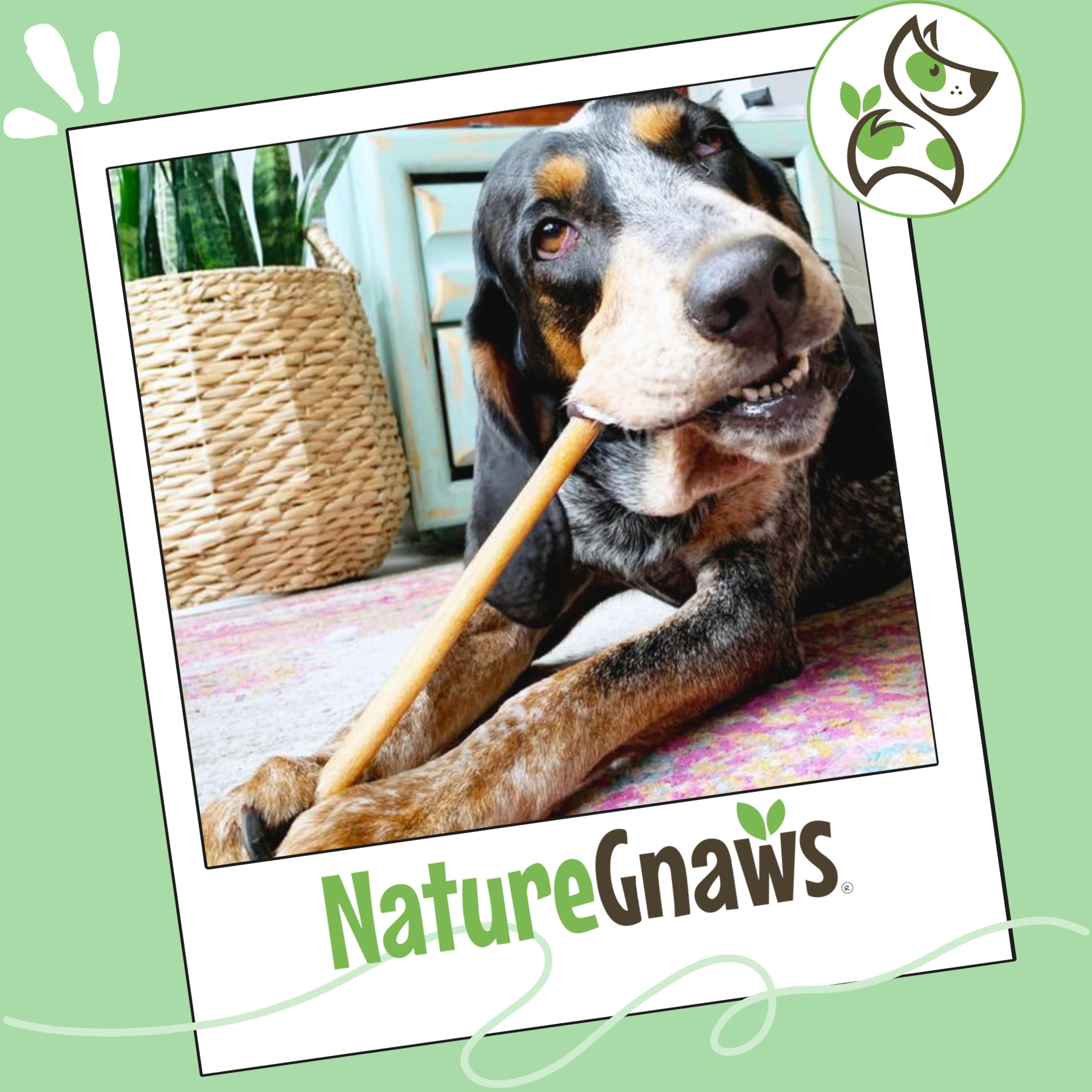 Nature Gnaws Bully Sticks for aggressive chewers.