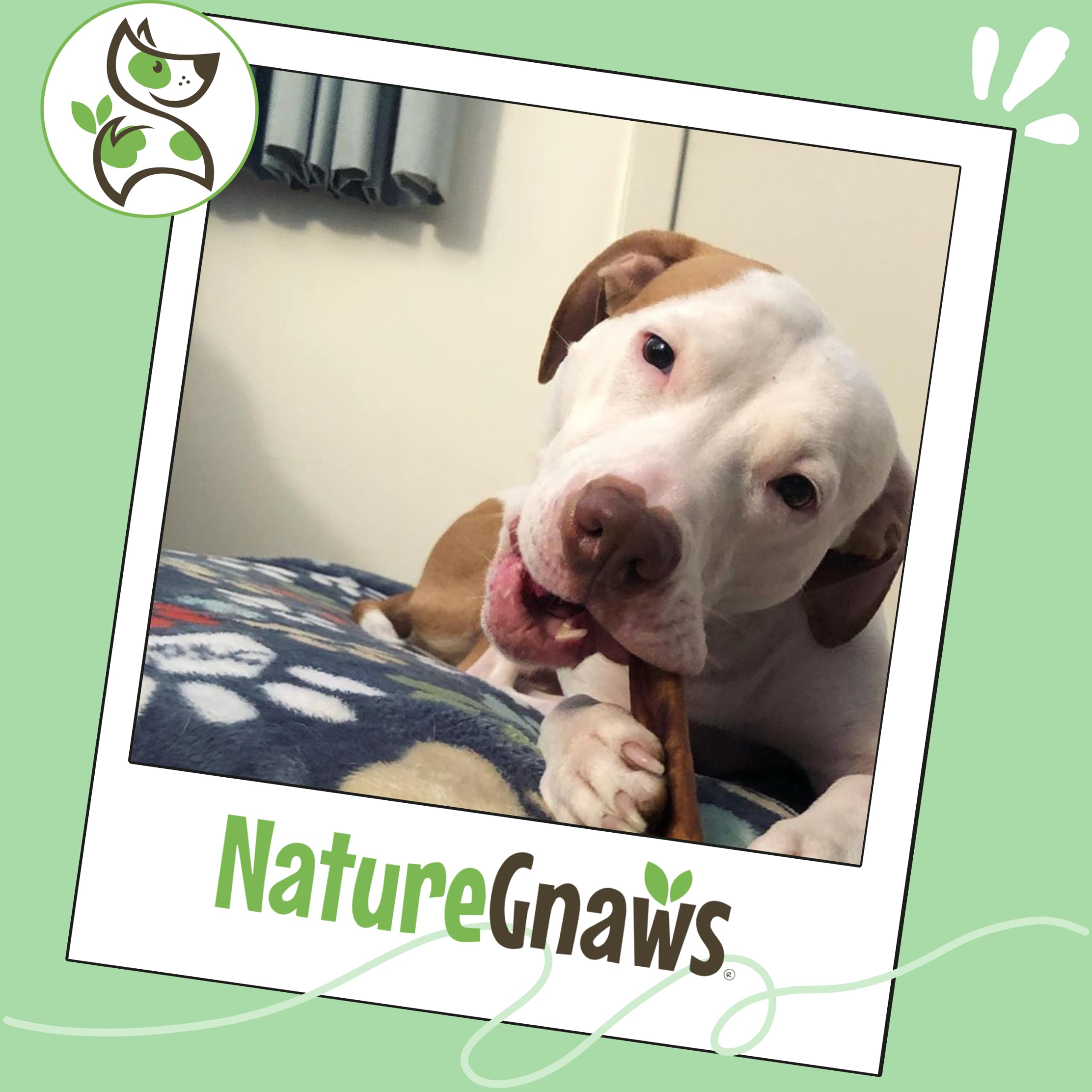 Nature Gnaws Bully Sticks low-odor display; convenient indoor chew option.