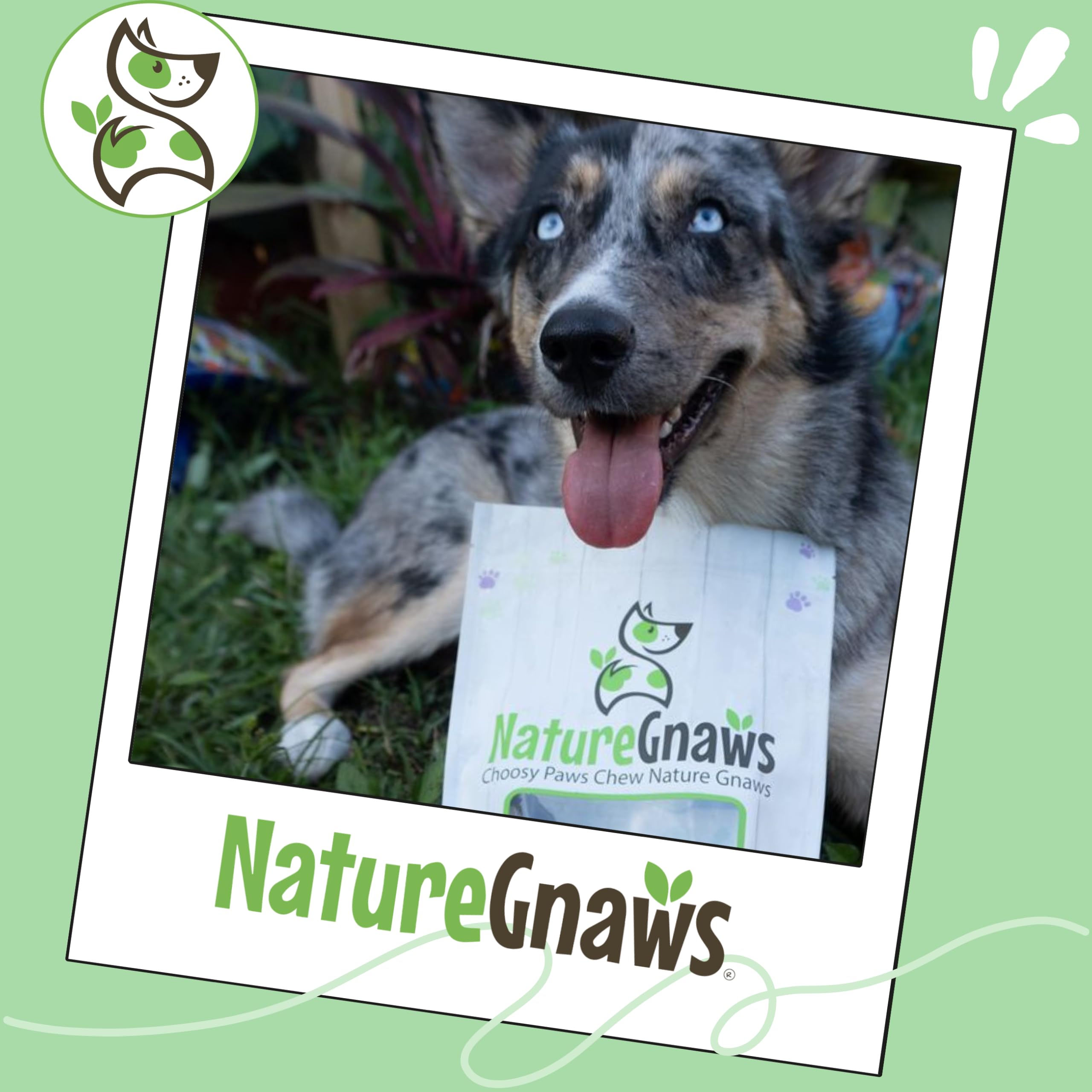 Nature Gnaws Collagen Sticks in open-pack scene suggests daily rewards