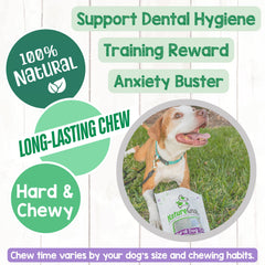 Nature Gnaws Collagen Sticks natural ingredients, highlighting rawhide-free option