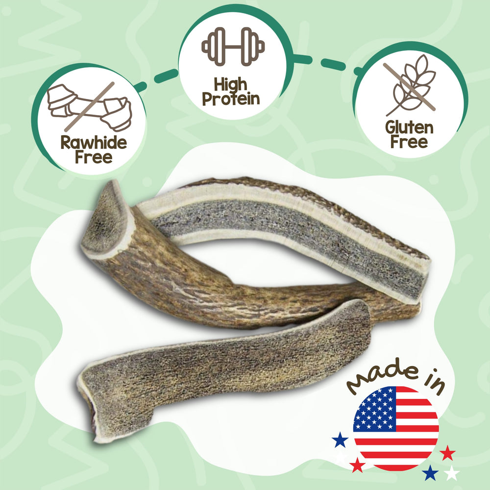 Nature Gnaws elk antlers for dogs, rawhide-free chew that supports dental activity.