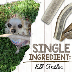 Nature Gnaws USA Elk Antlers, grain-free and gluten-free, a natural chew alternative.