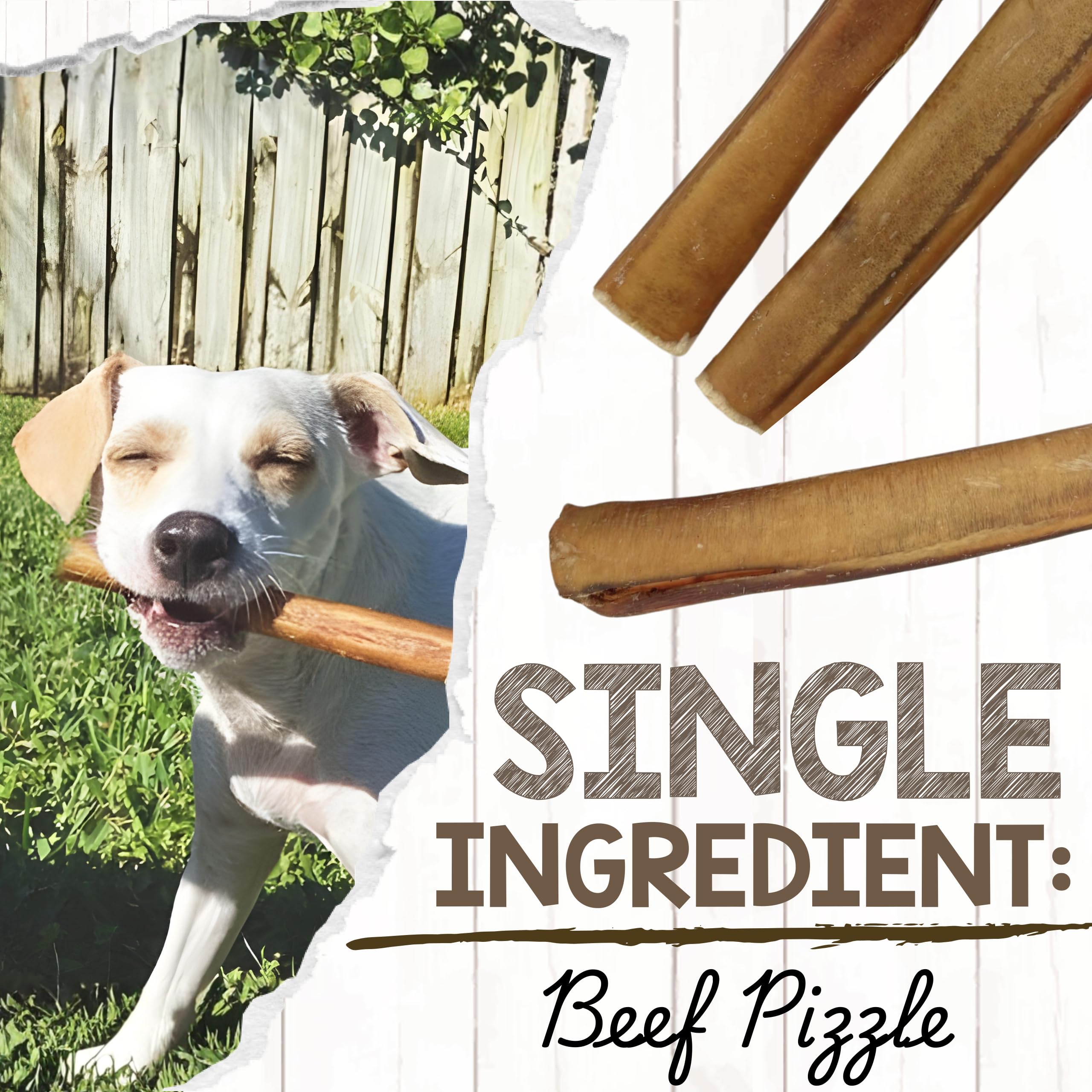 Nature Gnaws bully sticks 5-6 inch, supports dental hygiene through natural chewing.