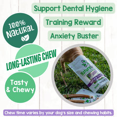 Nature Gnaws rawhide-free chews 5-6 inch, low odor option for dogs.