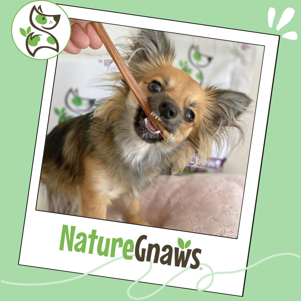 Family-owned Nature Gnaws supports responsibly sourced ingredients