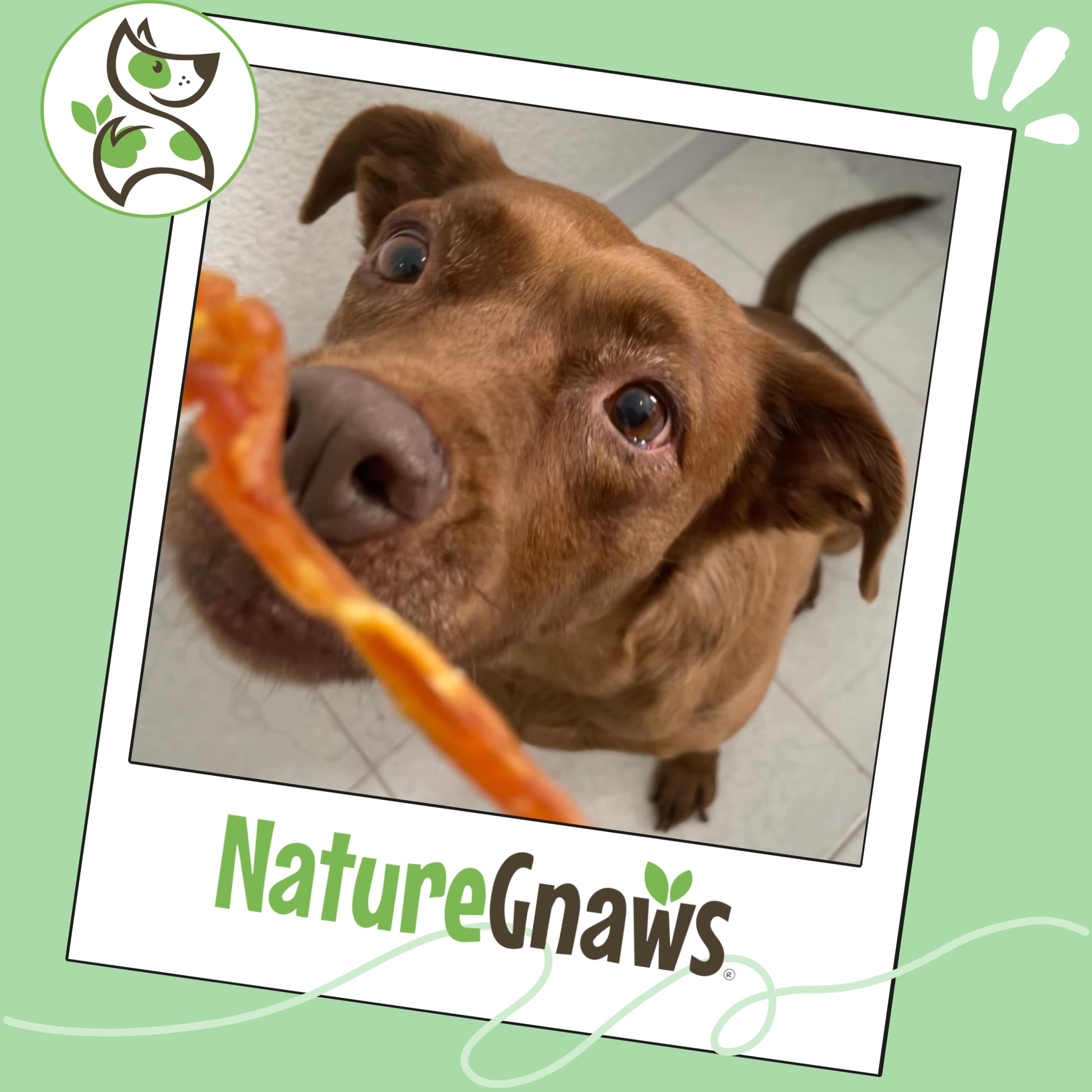 Nature Gnaws family-run brand—natural chews with responsibly sourced ingredients.