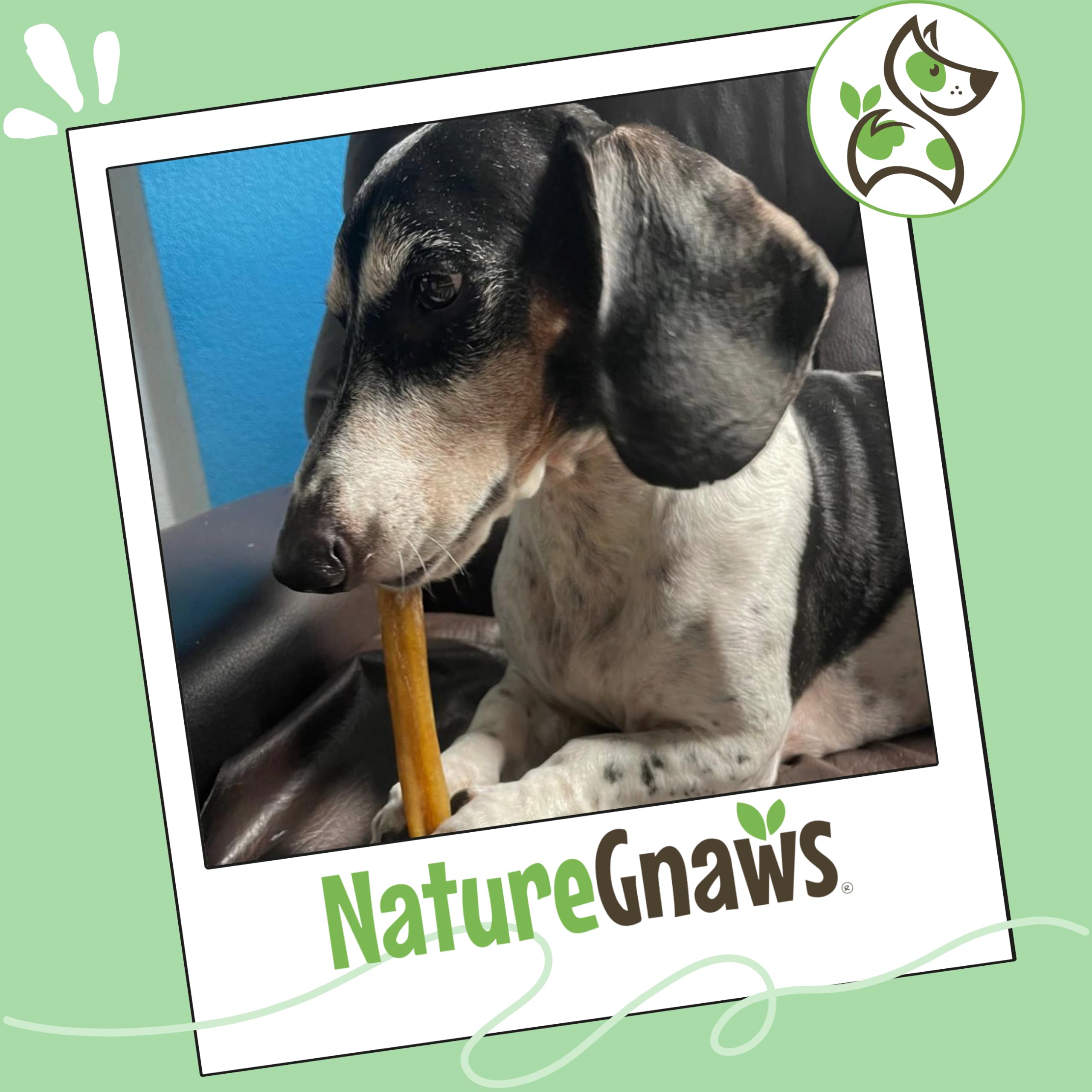Nature Gnaws is a family-run brand focused on natural ingredients