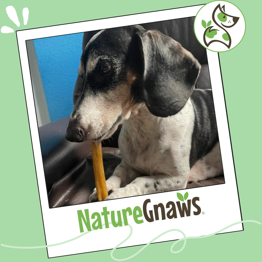 Nature Gnaws is a family-run brand focused on natural ingredients