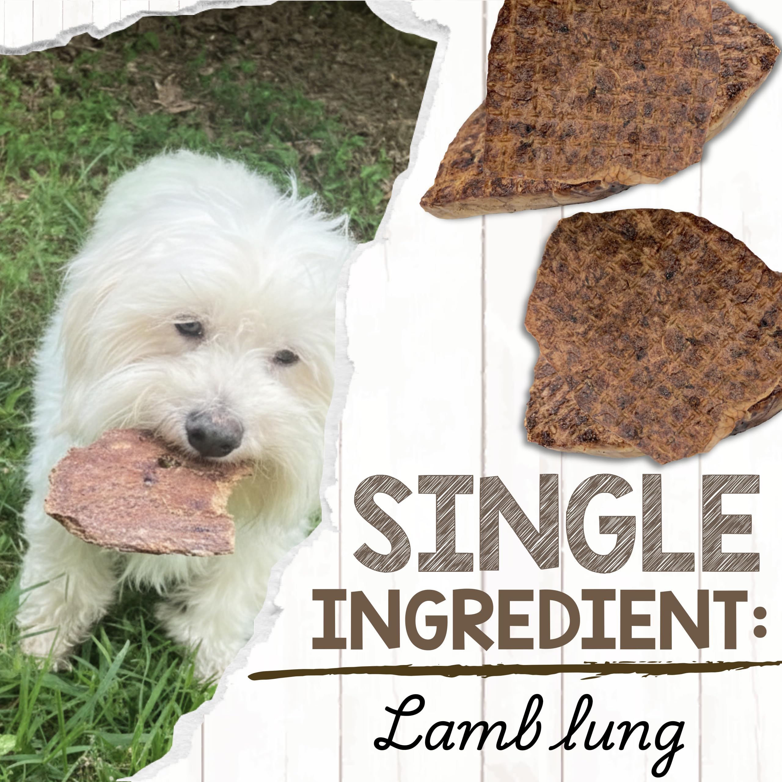 Dog chewing Nature Gnaws Lamb Lung Filets during playtime