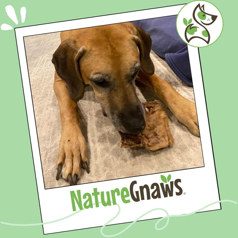 Grain-free, gluten-free claim on Nature Gnaws Lamb Lung Filets