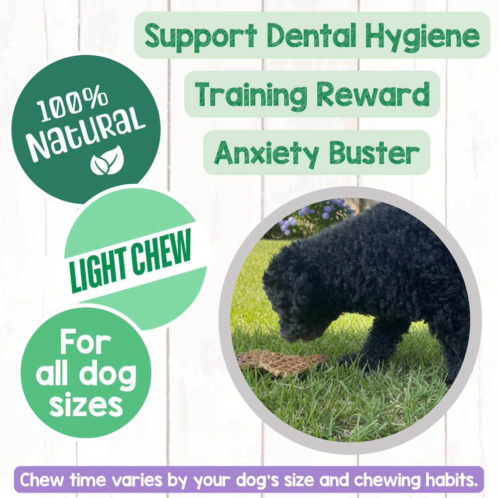 Puppy teething-friendly Lamb Lung Filets treat during training