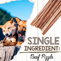 Nature Gnaws Large Bully Stick promotes dental care through chewing.