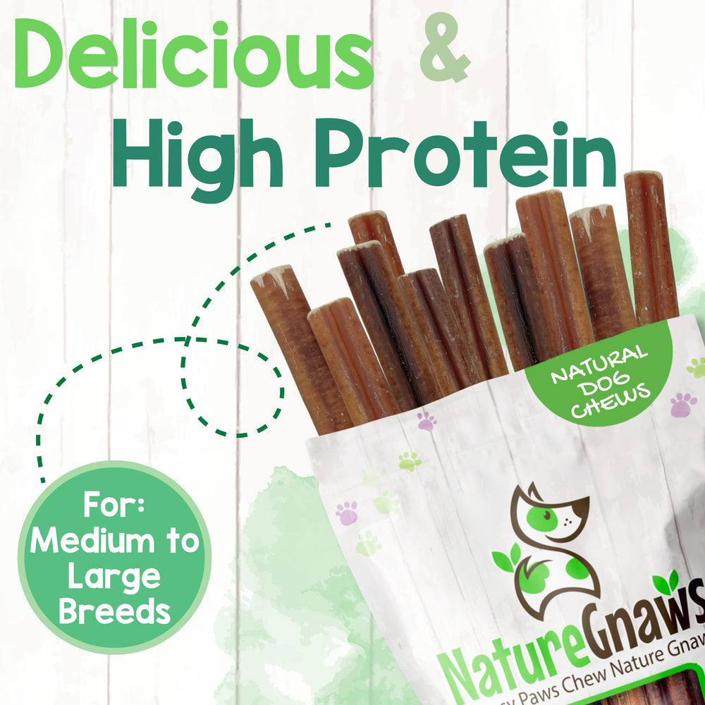 Nature Gnaws Large Bully Sticks rawhide free option, safer for curious chewers.