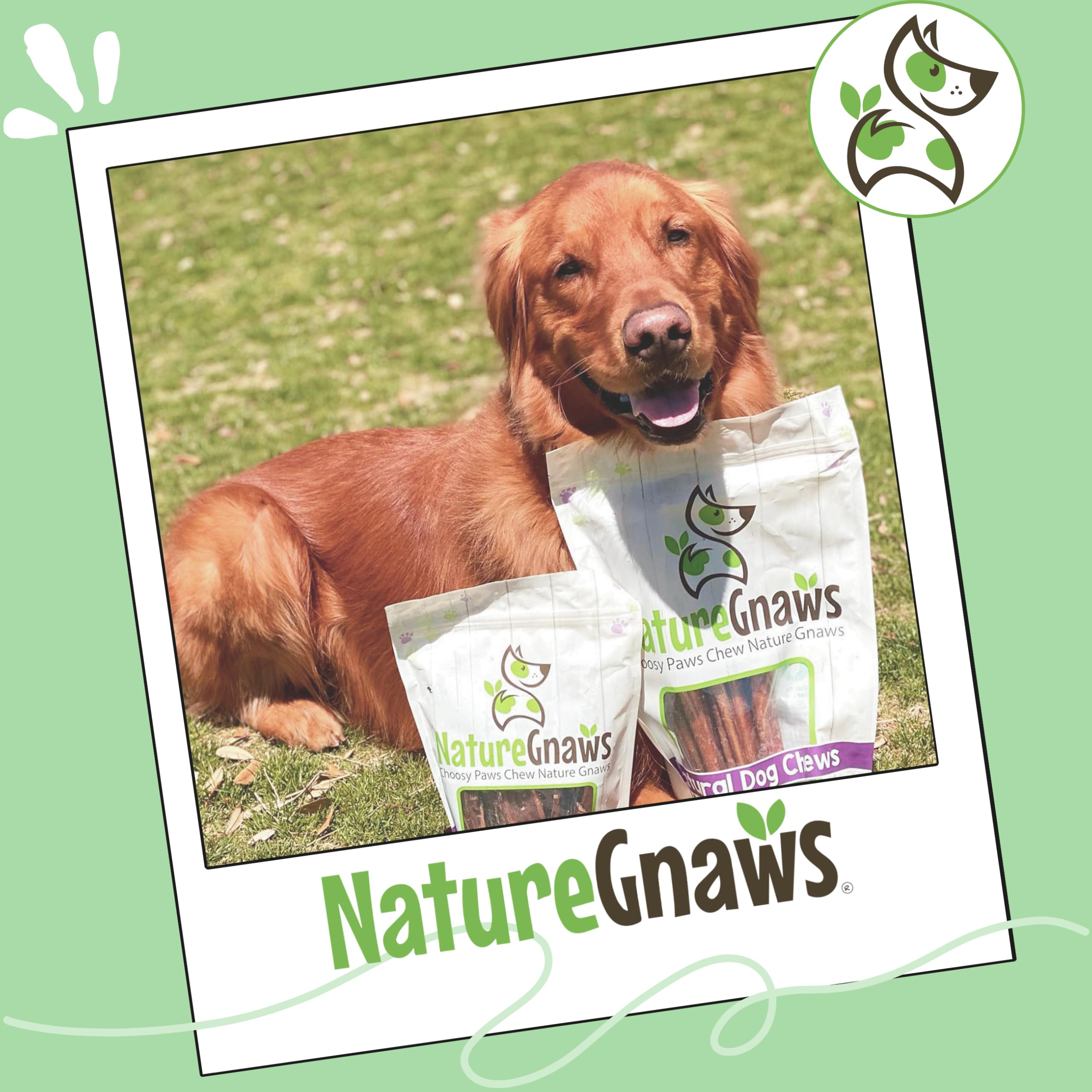 Dental care potential through chewing with Nature Gnaws bully sticks.