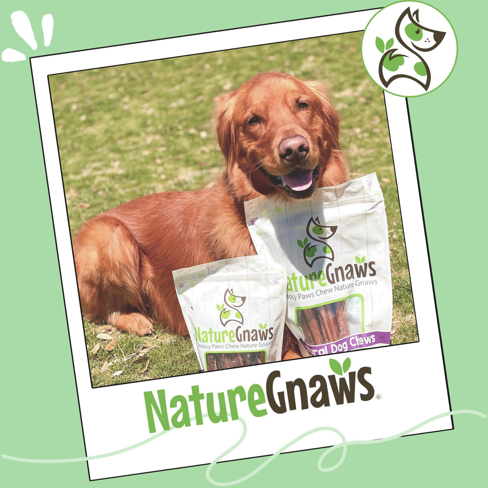 Dental care potential through chewing with Nature Gnaws bully sticks.