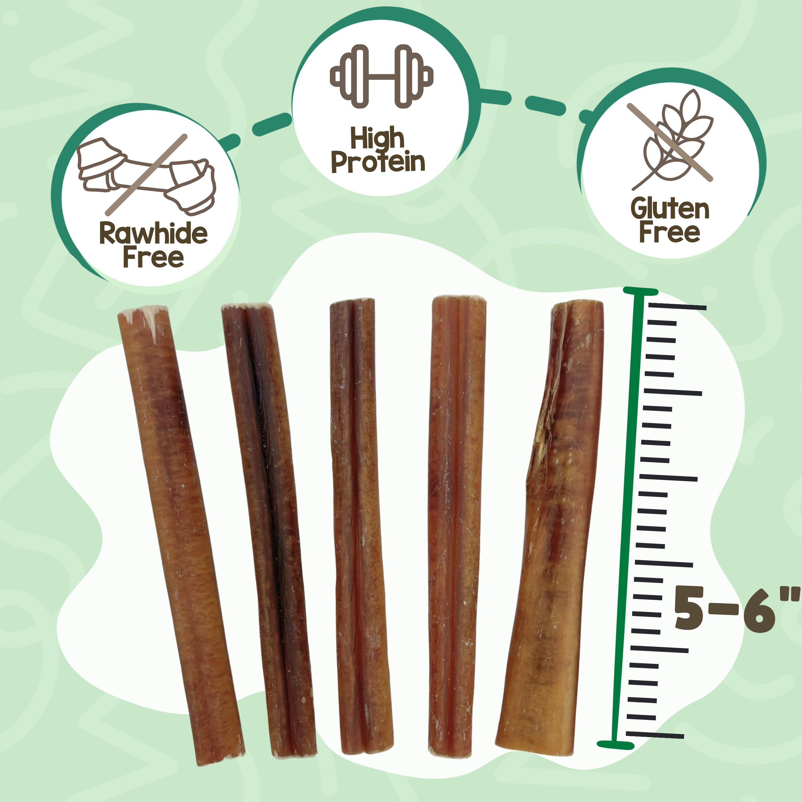 Nature Gnaws Large Bully Sticks dog chew action, promotes focus during playtime.