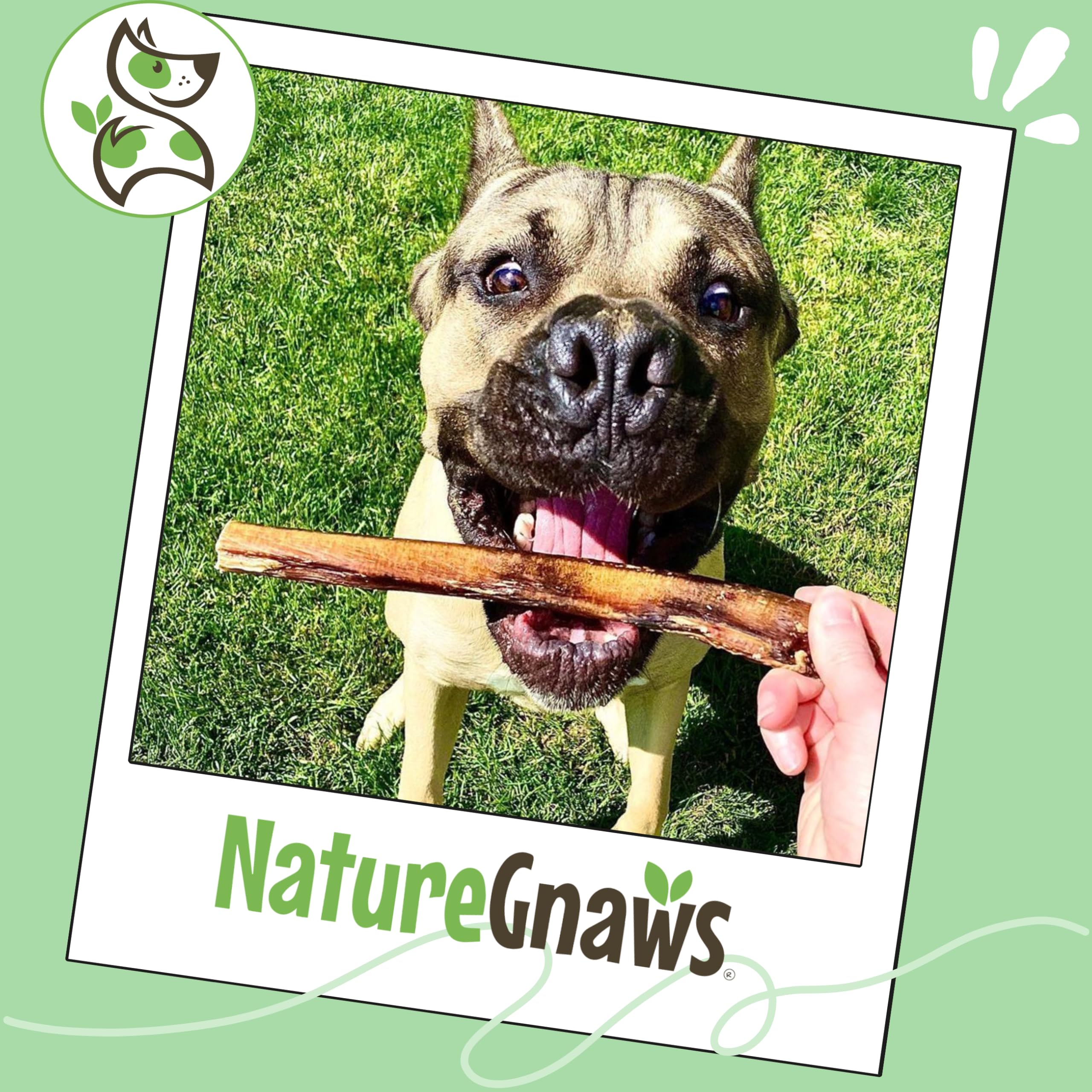 Nature Gnaws is a family-run brand delivering natural, responsibly sourced chews.
