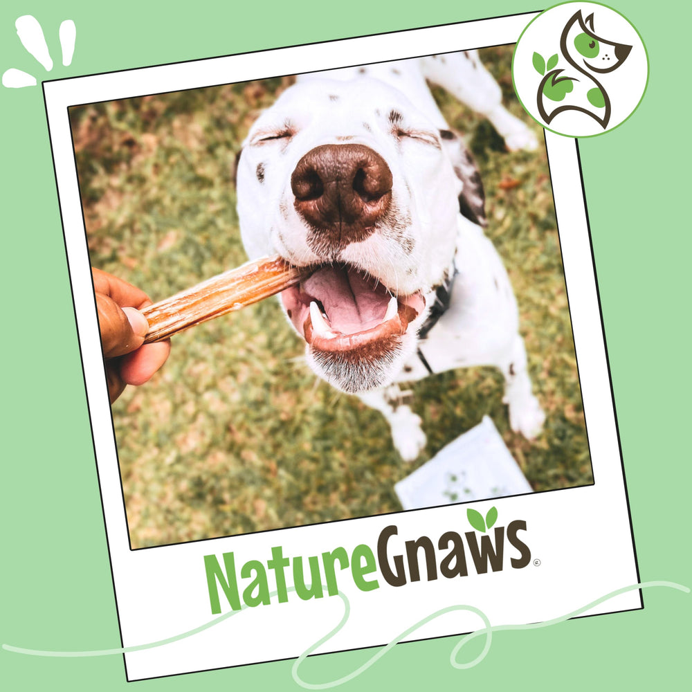 Nature Gnaws bully sticks are low-odor and gluten-free rawhide alternatives.