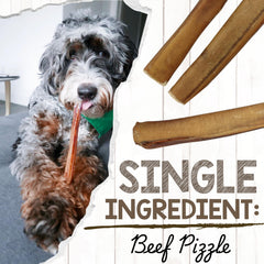 Nature Gnaws natural beef pizzle chew with savory flavor for dogs.