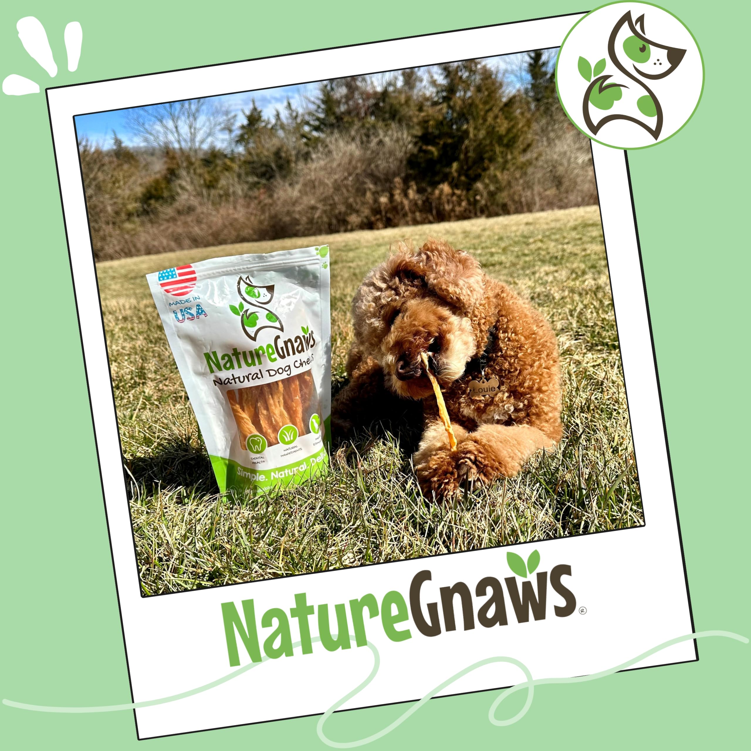 Nature Gnaws USA turkey tendons suitable for teething and boredom relief.