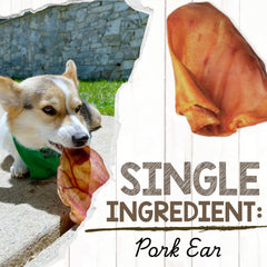 Nature Gnaws Pig Ears dental-chews support cleaner teeth through chewing.