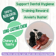 Nature Gnaws Pig Ears savory-texture deliver a satisfying reward for dogs.