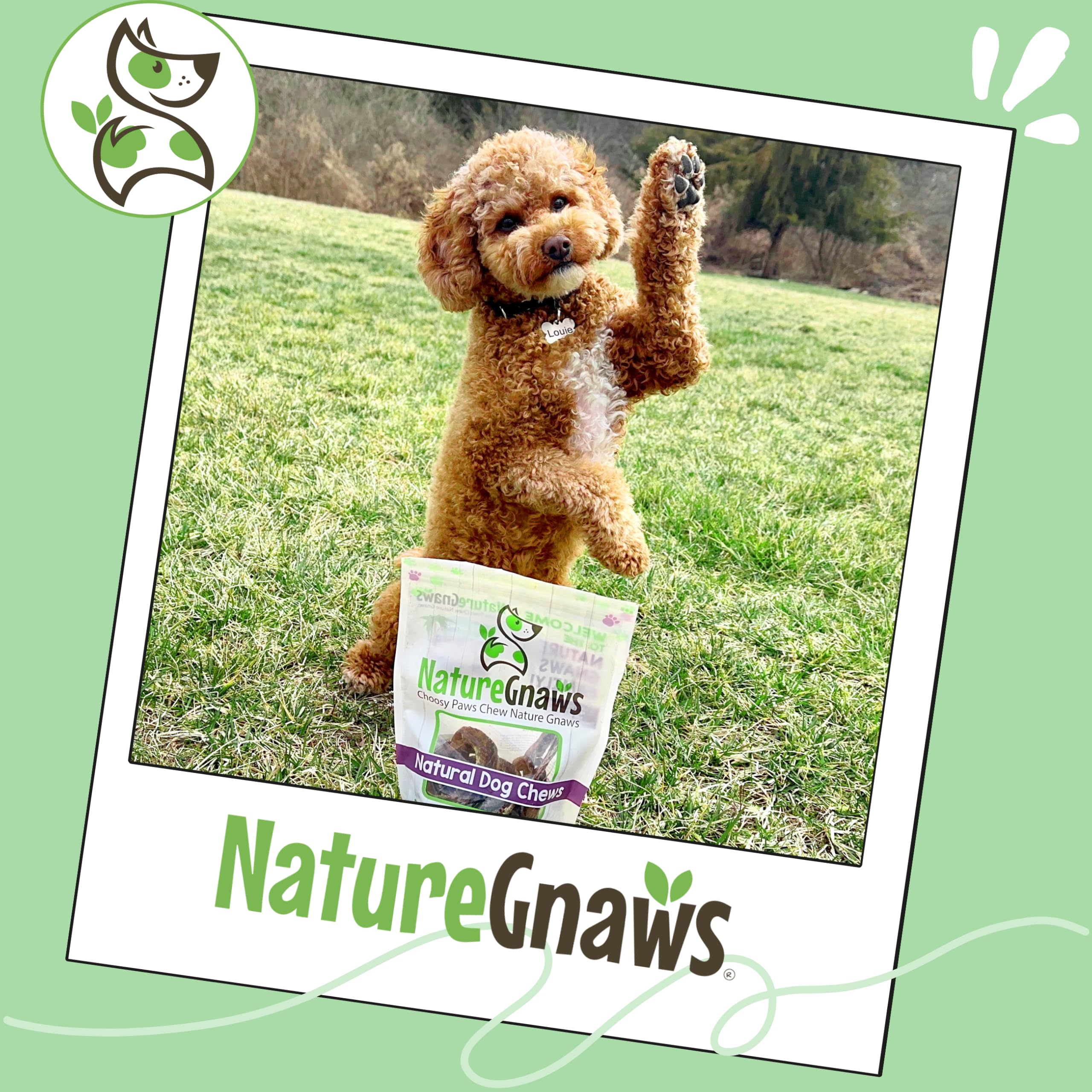Nature Gnaws Pork Bully Sticks Pretzels feature bacon aroma to entice dogs during treats