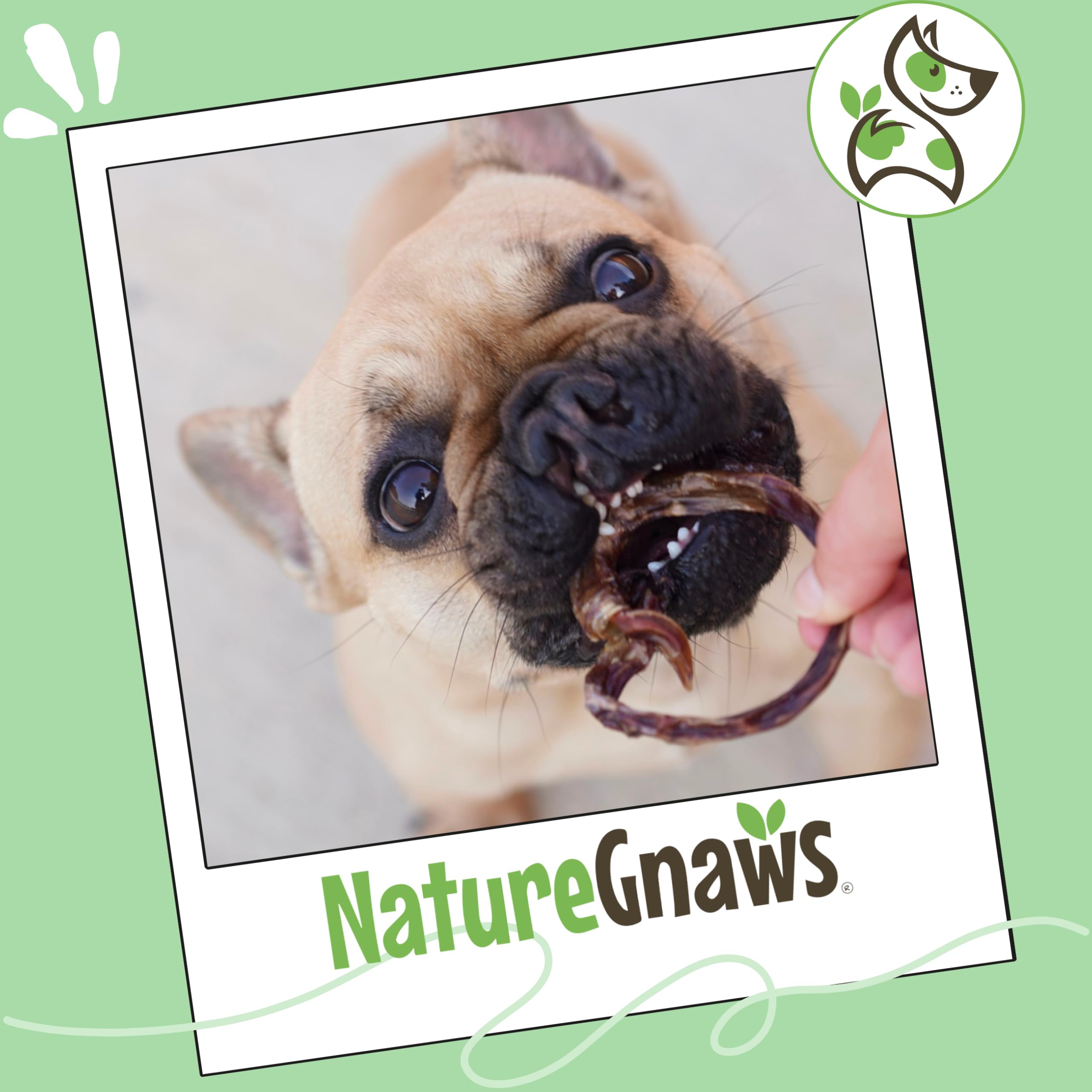 Nature Gnaws Pork Bully Sticks Pretzels are grain-free and gluten-free for sensitive stomachs