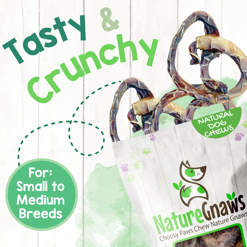 Nature Gnaws Pork Bully Sticks Pretzels are rawhide-free chewing options for dogs