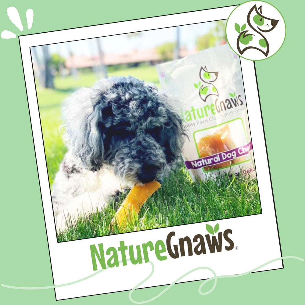 Nature Gnaws rawhide-free beef chew with natural flavor for dogs.