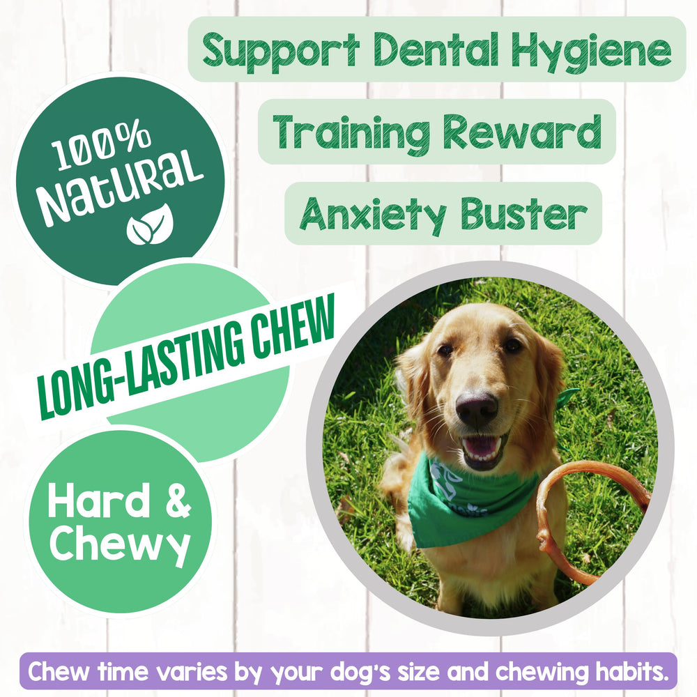 Nature Gnaws rawhide-free chews display highlighting a grain-free gluten-free alternative.
