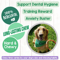 Nature Gnaws rawhide-free chews display highlighting a grain-free gluten-free alternative.