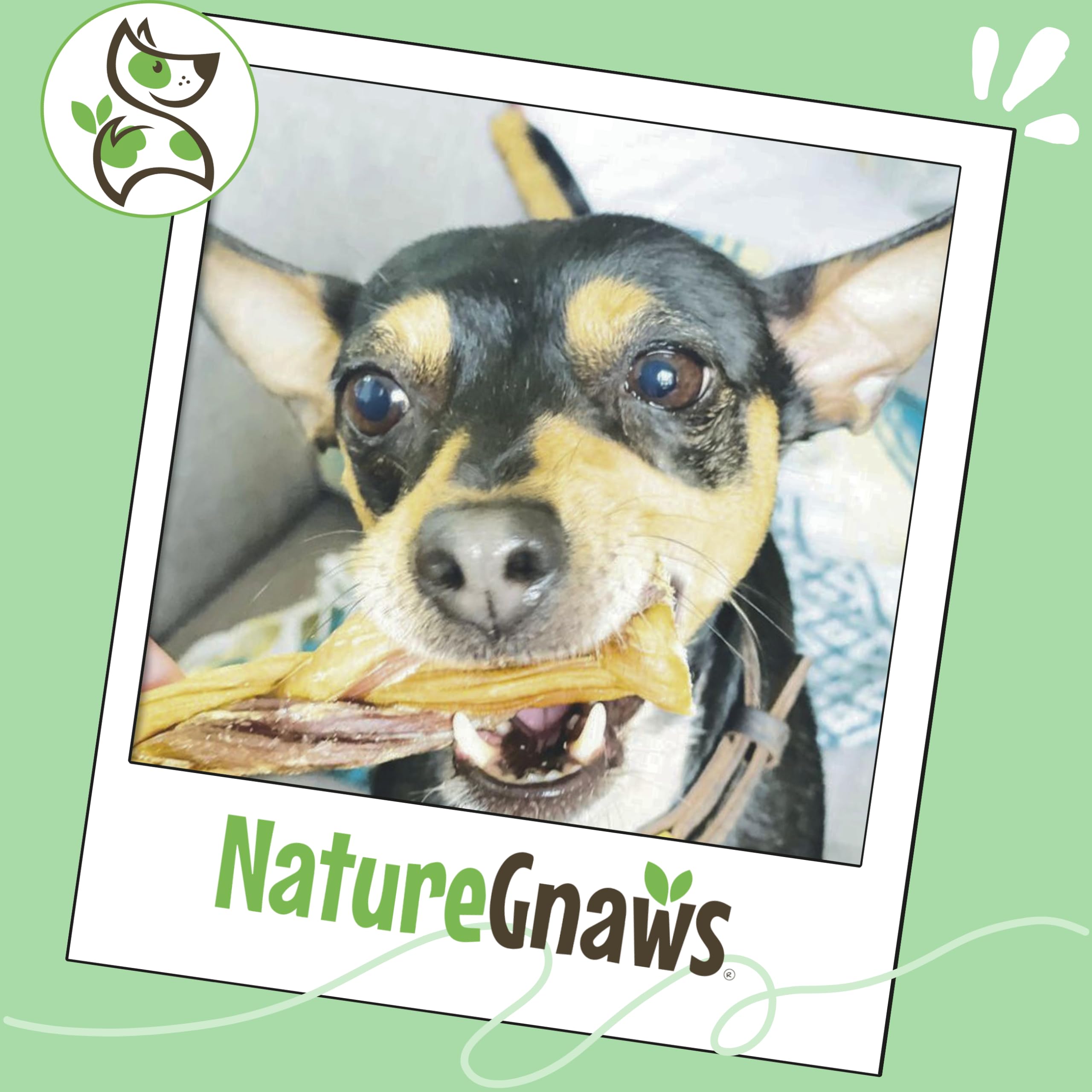 Nature Gnaws rawhide-free chew option, grain-free and gluten-free