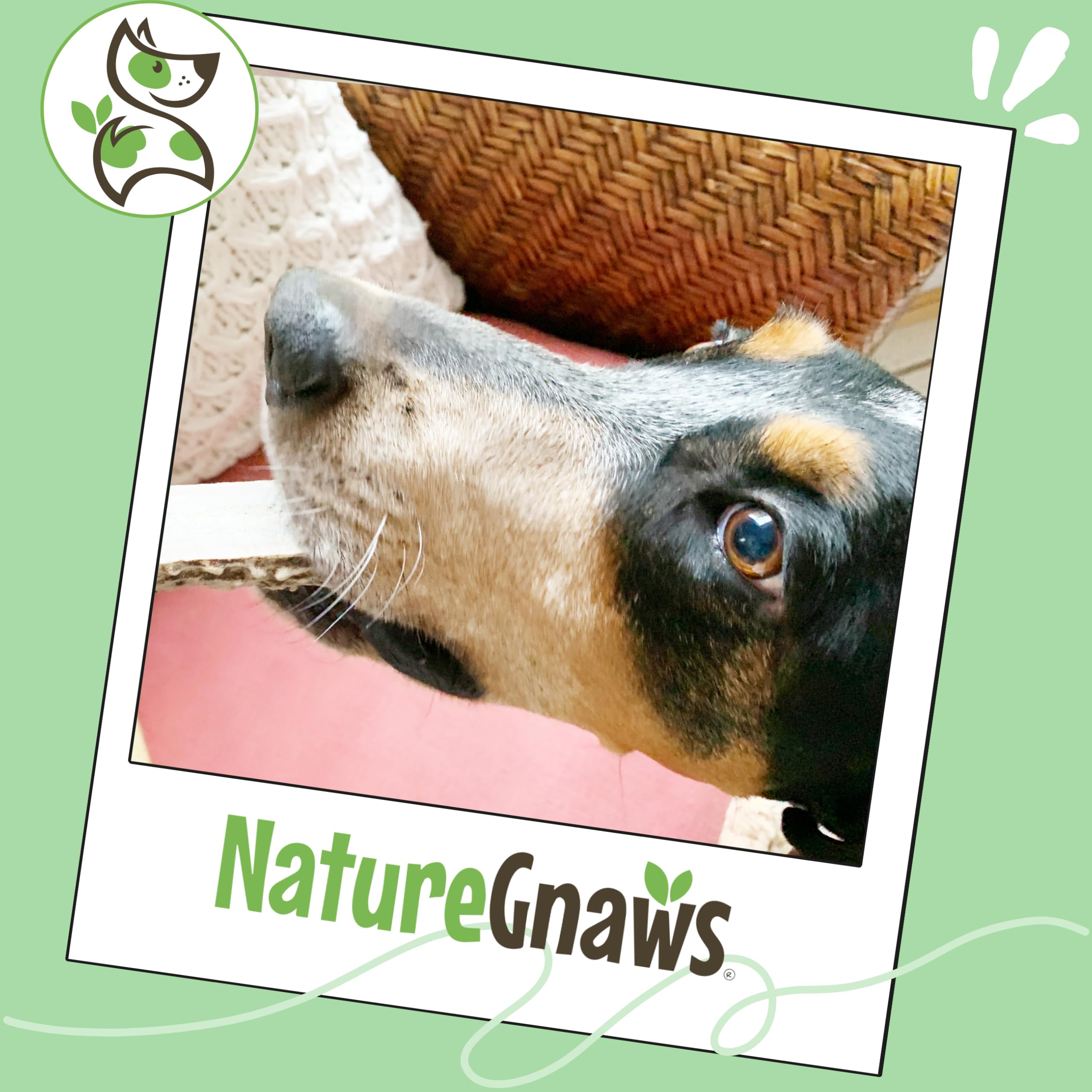 Nature Gnaws rawhide-free antlers offer a healthier alternative.