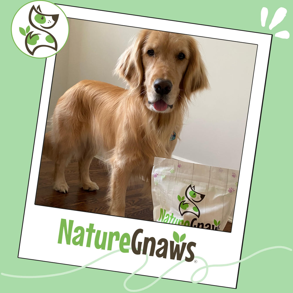Nature Gnaws rawhide-free label on pack communicates safer chews