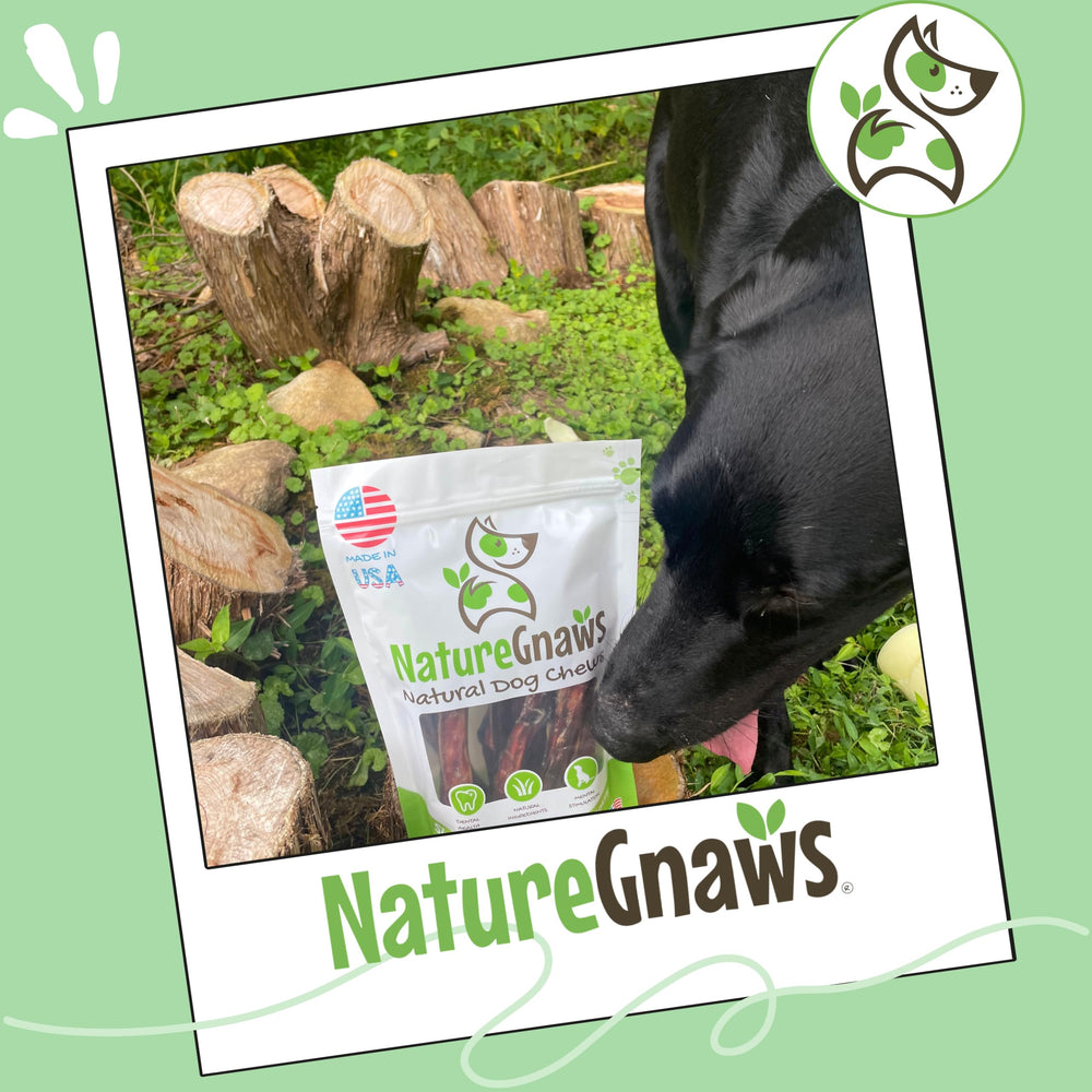 Nature Gnaws logo emphasizes product natural ingredients.