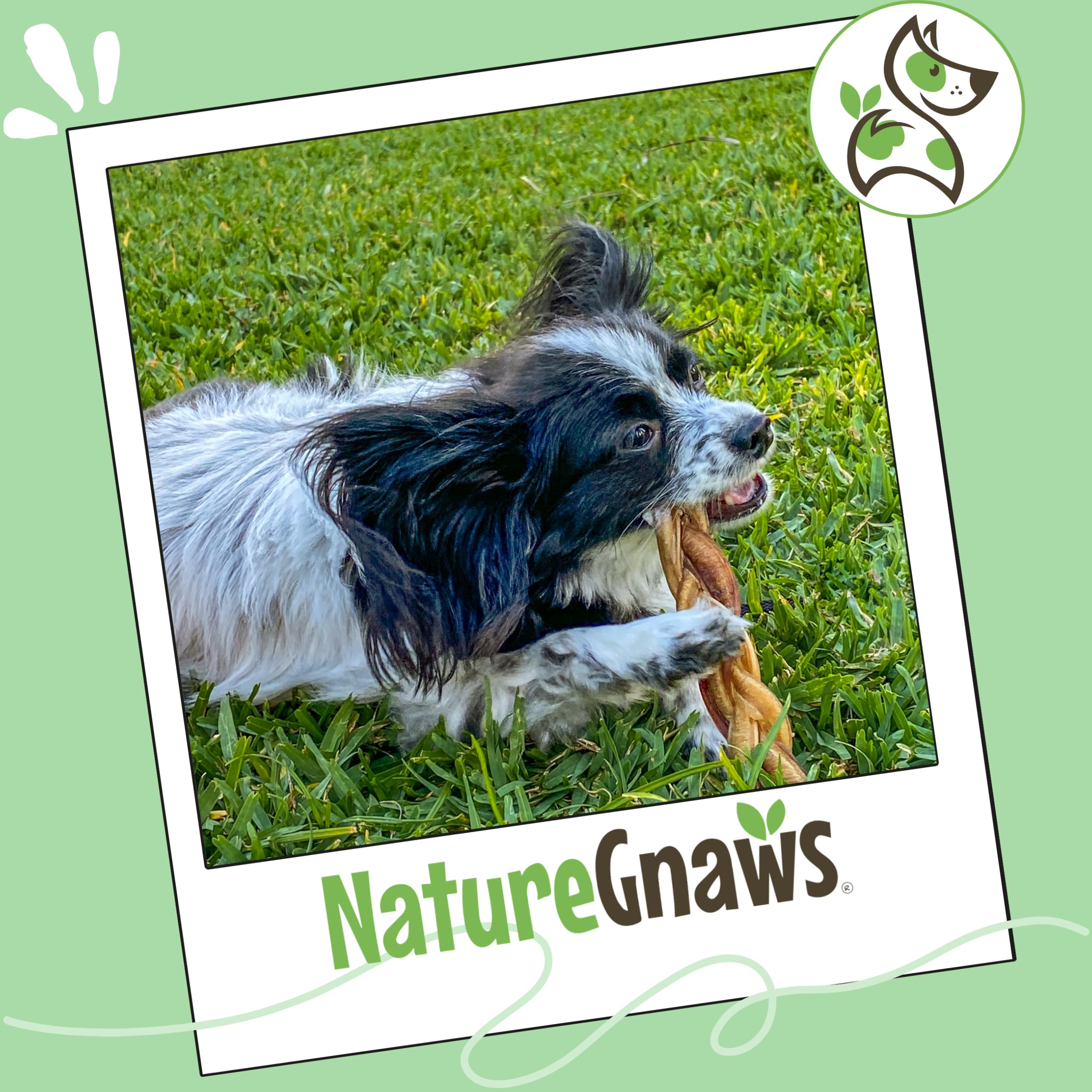 Nature Gnaws savory beef scent during chew time for engagement