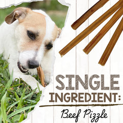 Nature Gnaws Small Bully Stick for small dogs, satisfying crave with natural beef flavor.