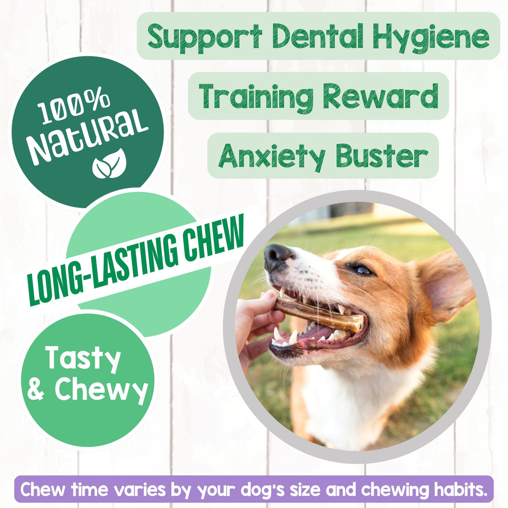 Beef pizzle close-up texture from Nature Gnaws Bully Sticks, a natural treat option.