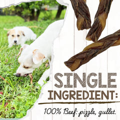 Nature Gnaws Braided Bully Twists for small dogs during chew time with beef flavor.