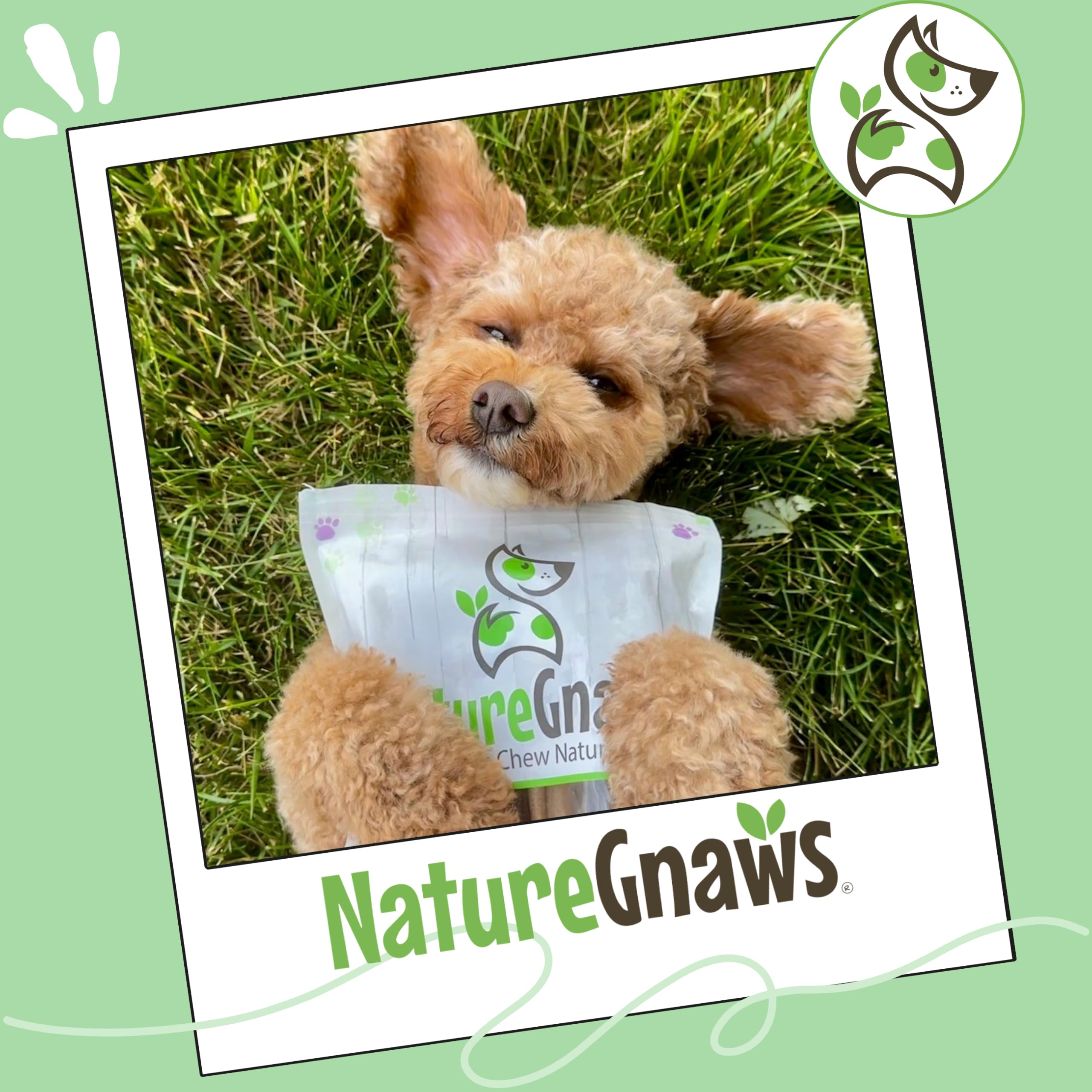 Nature Gnaws teething-friendly chew with savory beef scent and durable texture.