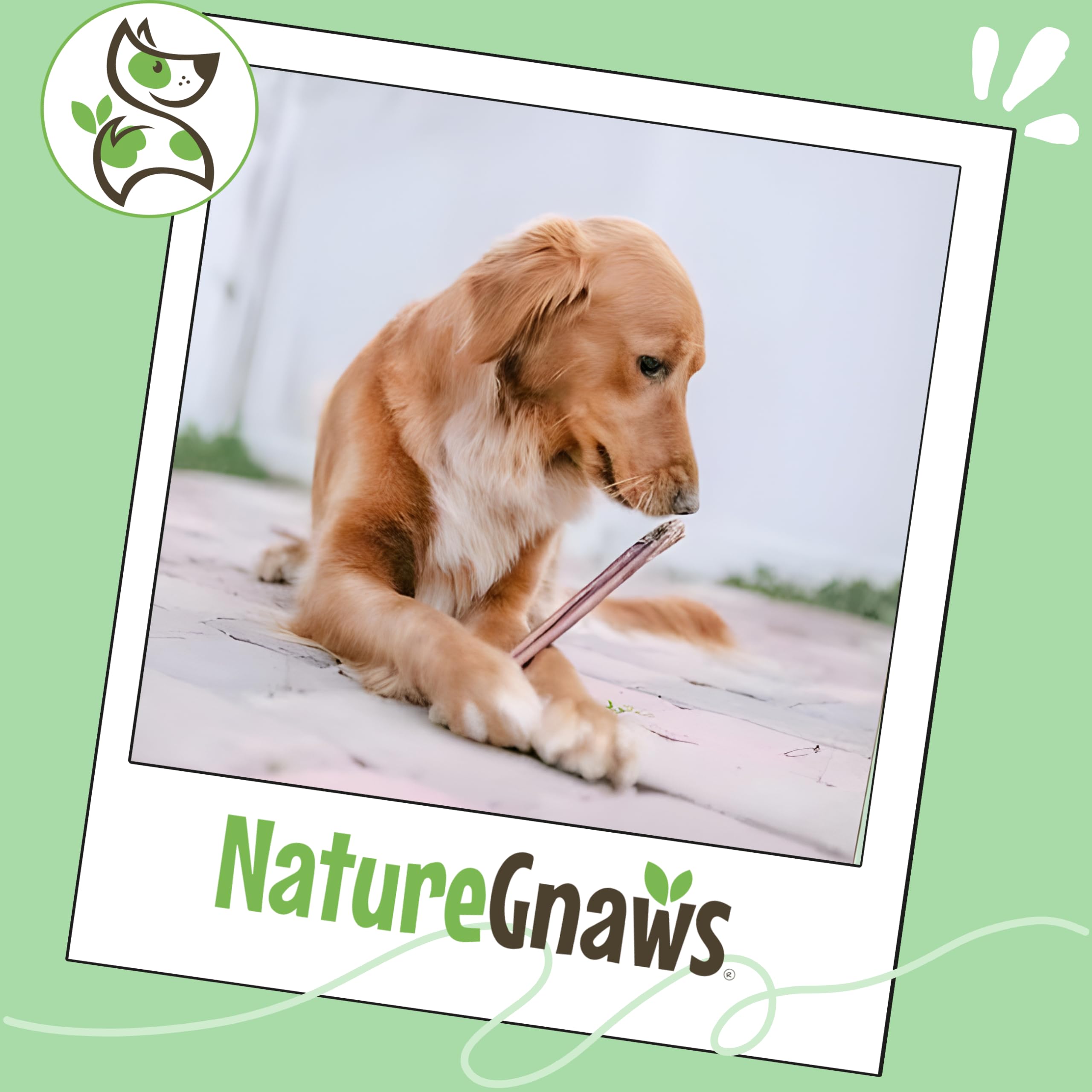 Nature Gnaws teething puppies chew for safe relief.