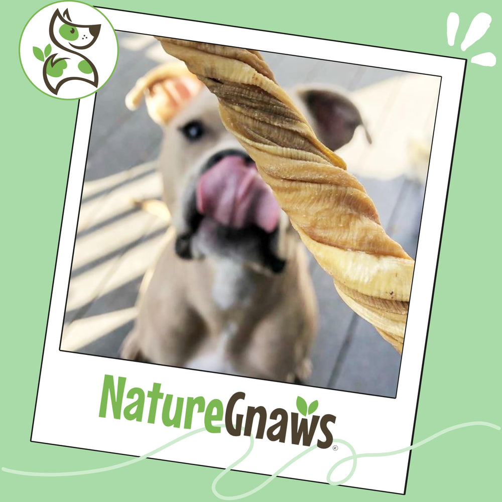 Nature Gnaws Tripe Twists grain-free label emphasizes natural, rawhide-free option