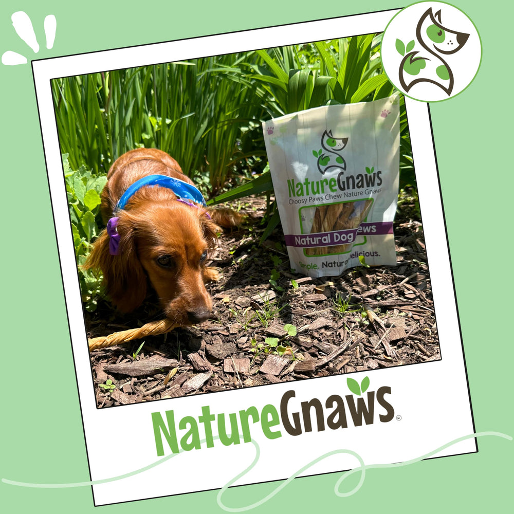 Nature Gnaws Tripe Twists low-odor badge communicates pleasant chewing experience