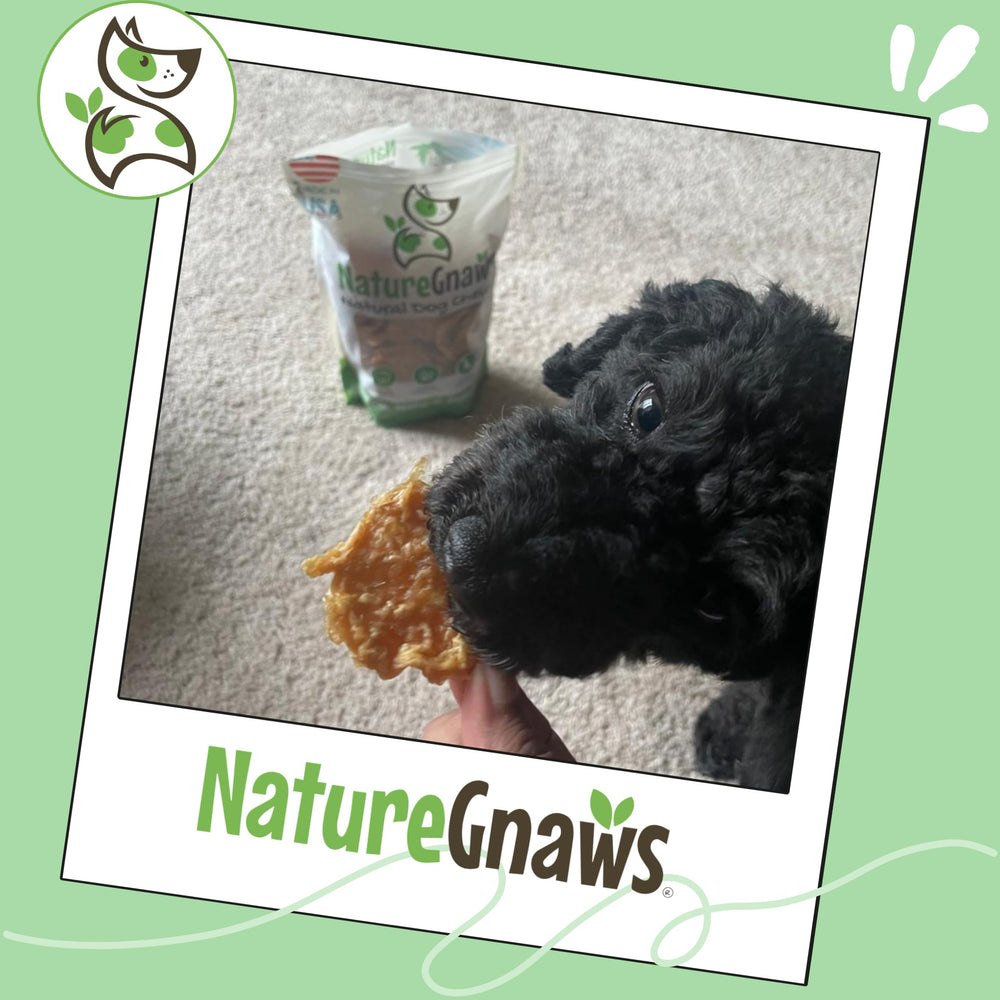 Grain-free Nature Gnaws Turkey Tenders for dogs