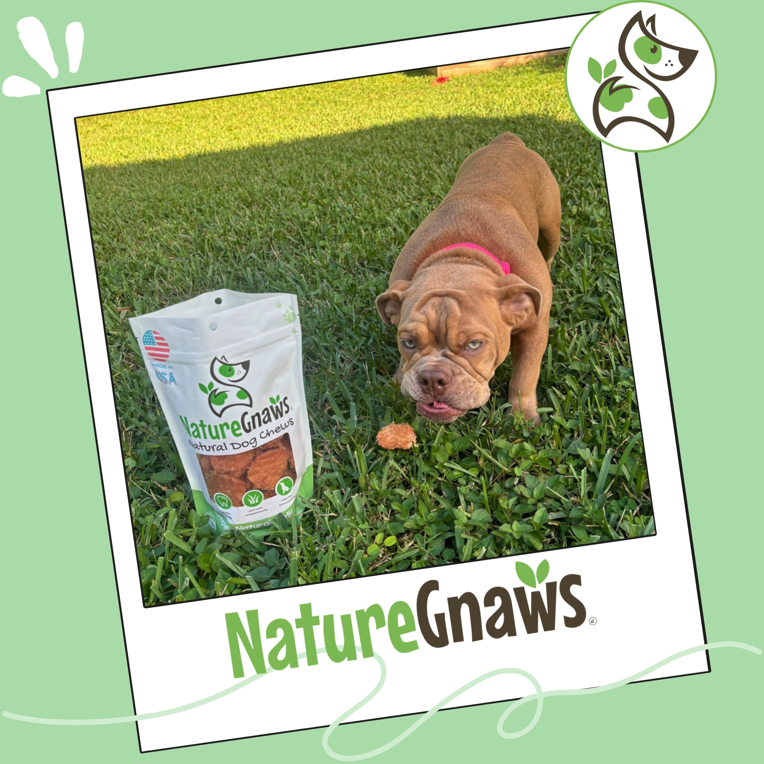 Training reward scenario with Nature Gnaws turkey tenders