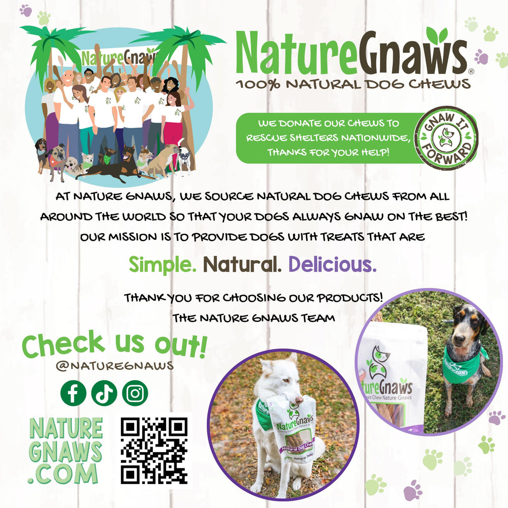 Nature Gnaws turkey tendons pack-shot—savory aroma dogs love.