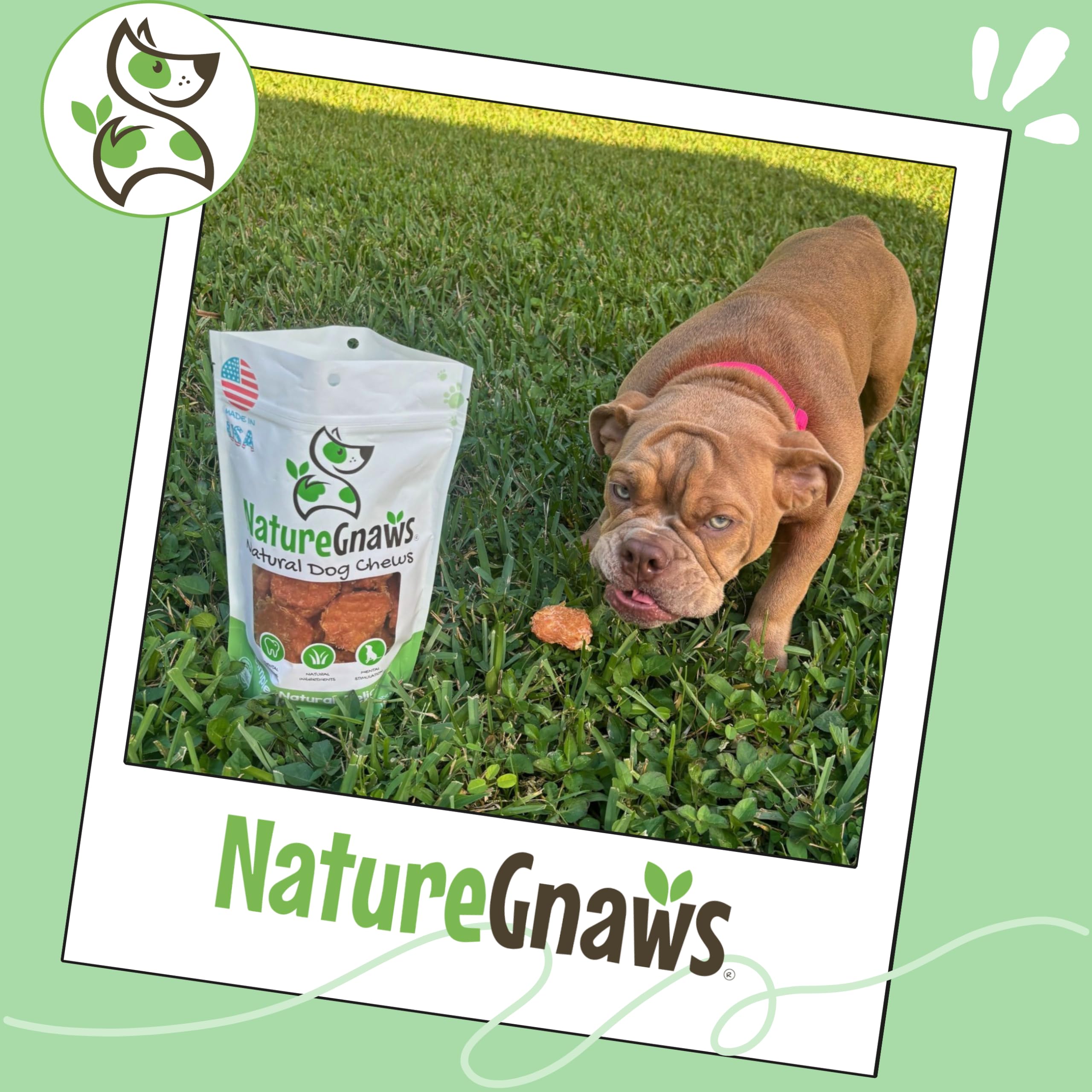 Nature Gnaws USA Chicken Tenders texture close-up, satisfying chew.