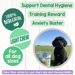 Nature Gnaws USA Chicken Tenders small-dog chew, durable and tasty.